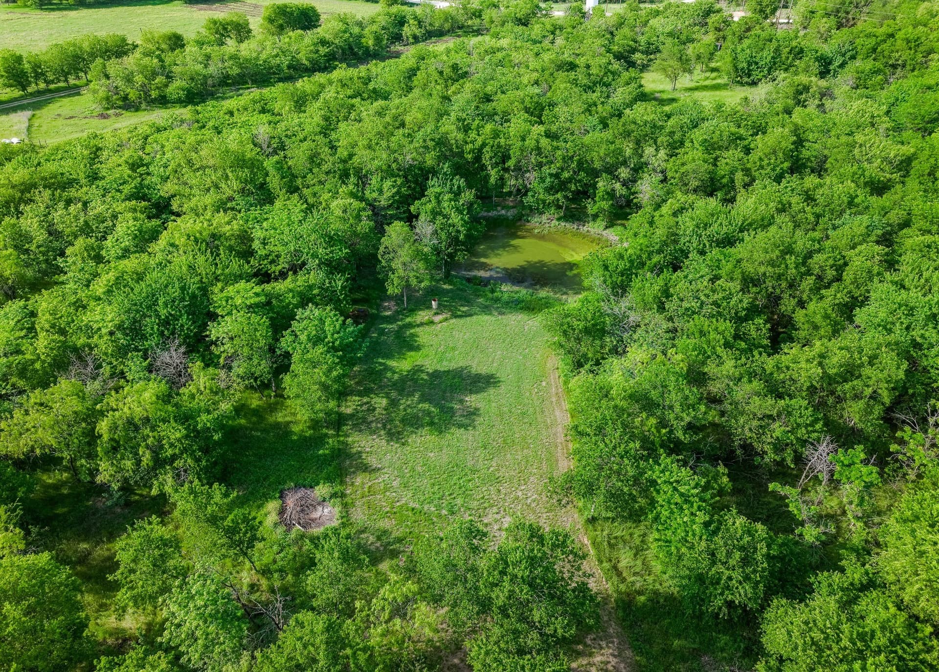 12.5 acres in Navarro County - photo 9
