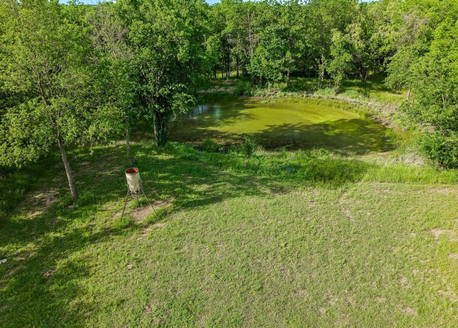 12.5 acres in Navarro County - photo 10