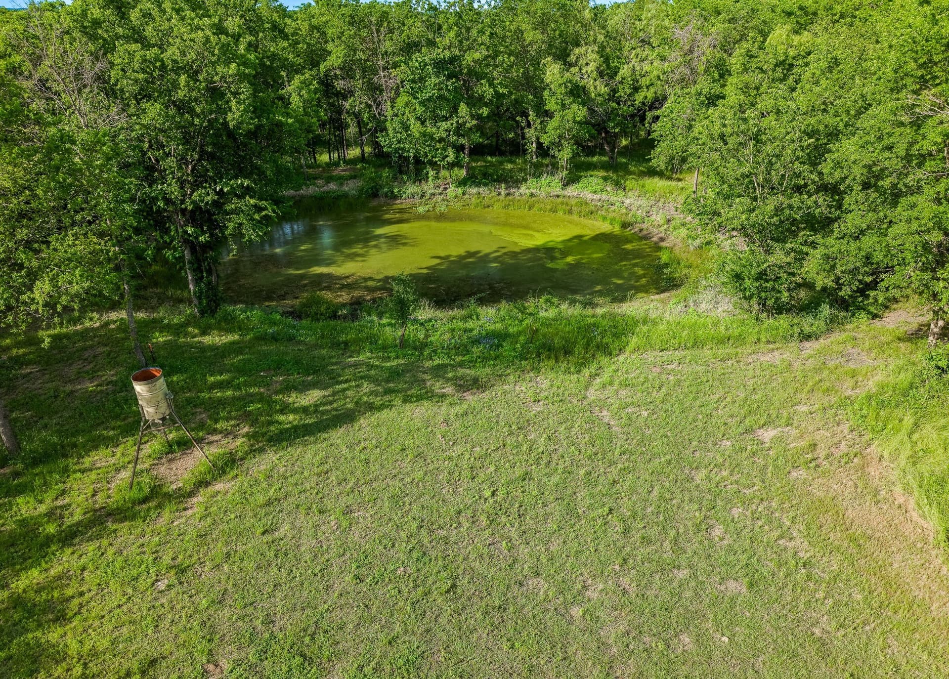 12.5 acres in Navarro County - photo 11