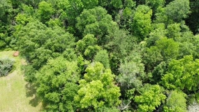 1 acres in Texas County gallery image 2