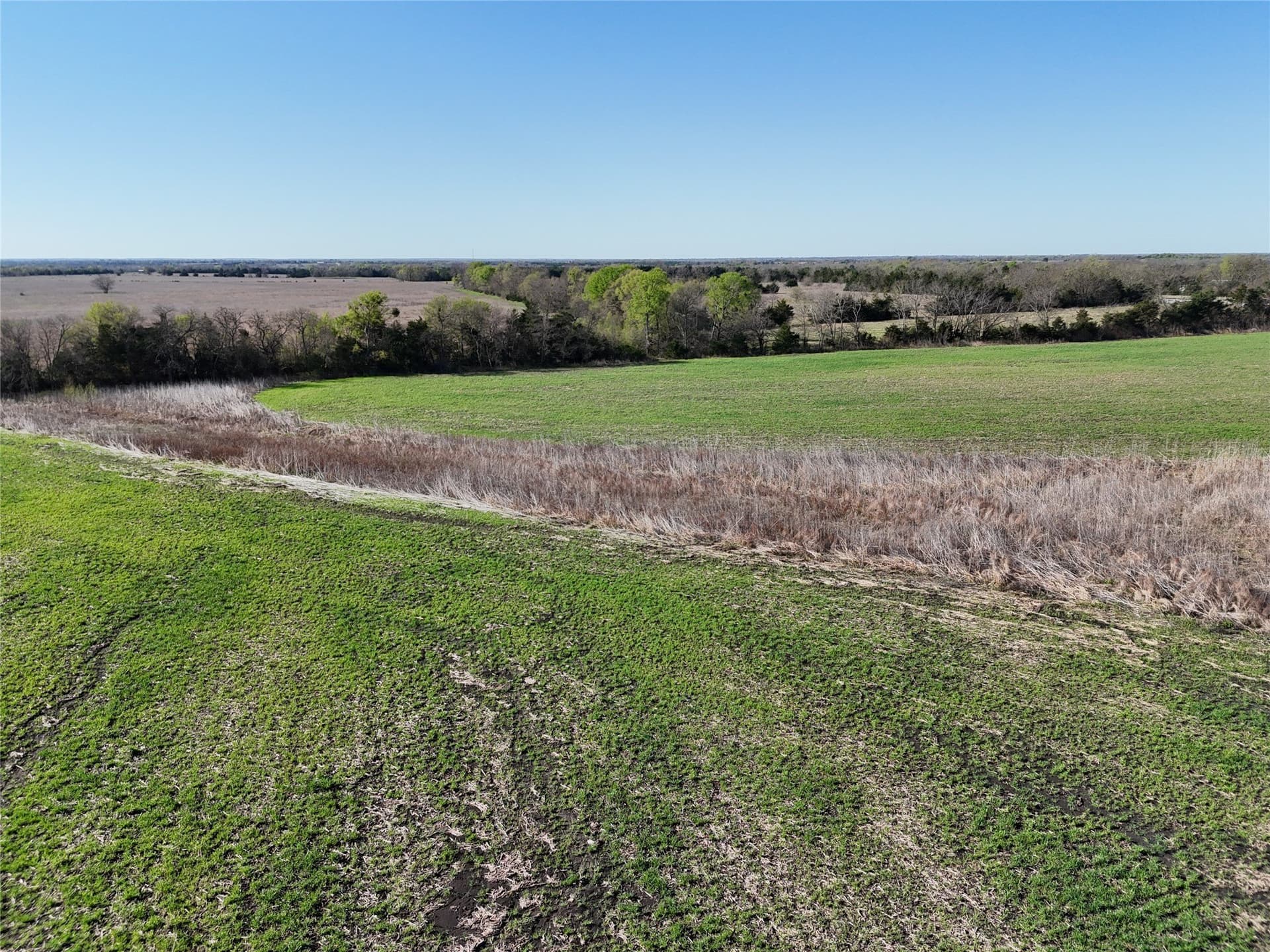 15 acres in Delta County - photo 6