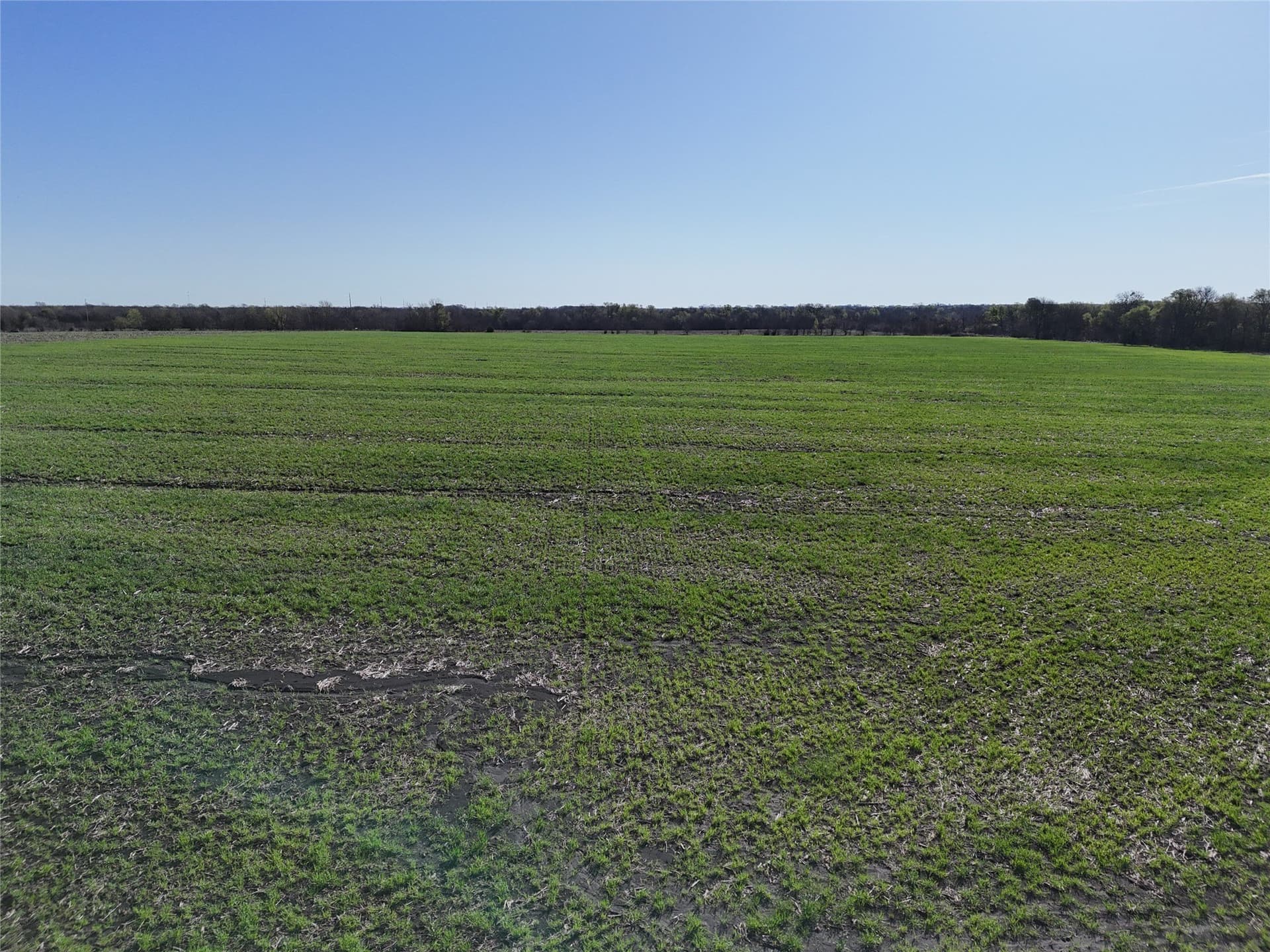 15 acres in Delta County gallery image 3