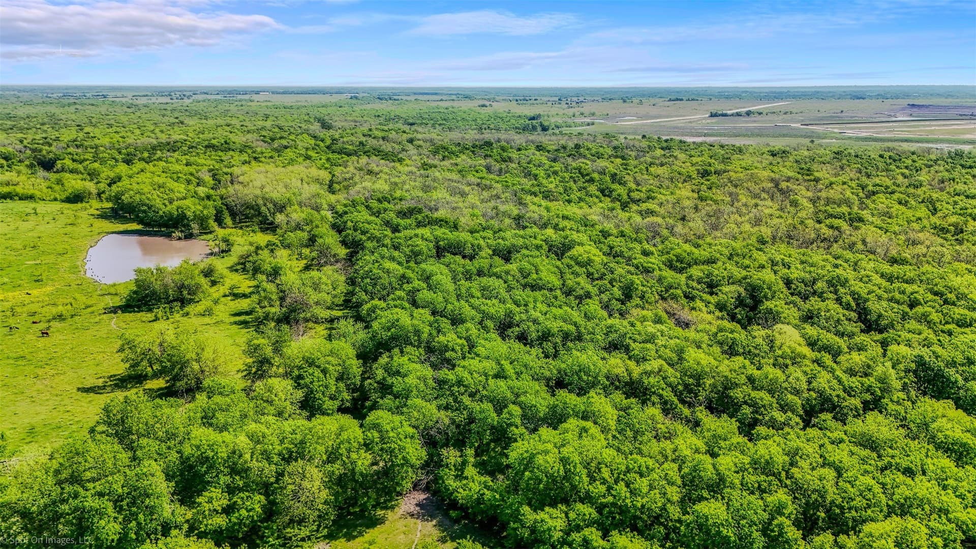 27.4 acres in Kaufman County gallery image 4