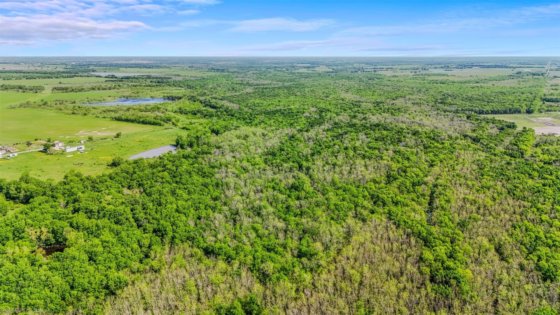 27.4 acres in Kaufman County - photo 9