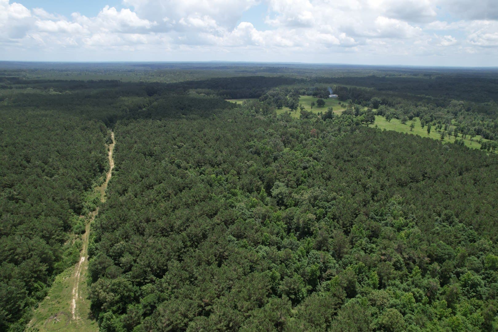147.5 acres in Panola County - photo 6