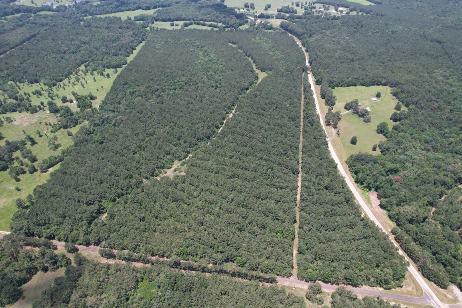 147.5 acres in Panola County - photo 3