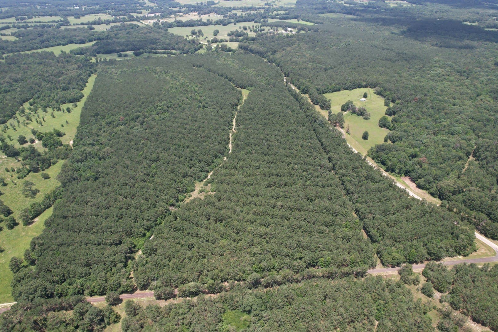 147.5 acres in Panola County