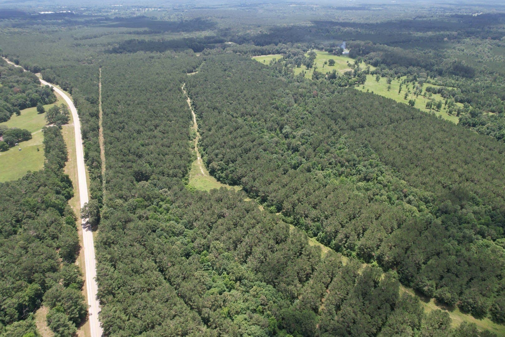 147.5 acres in Panola County - photo 5