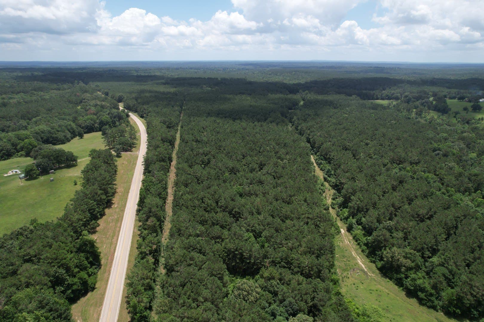 147.5 acres in Panola County - photo 7