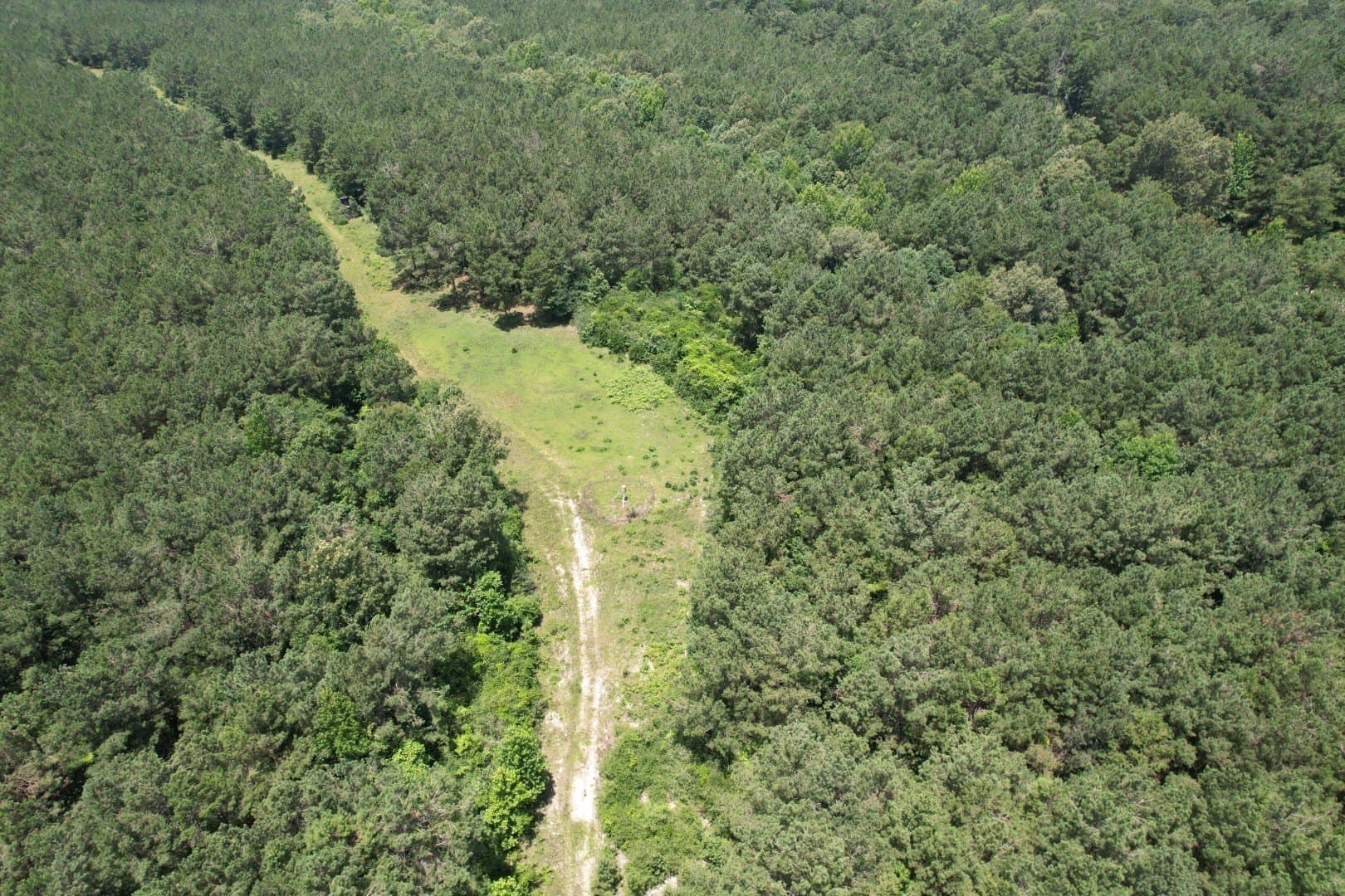 147.5 acres in Panola County - photo 4