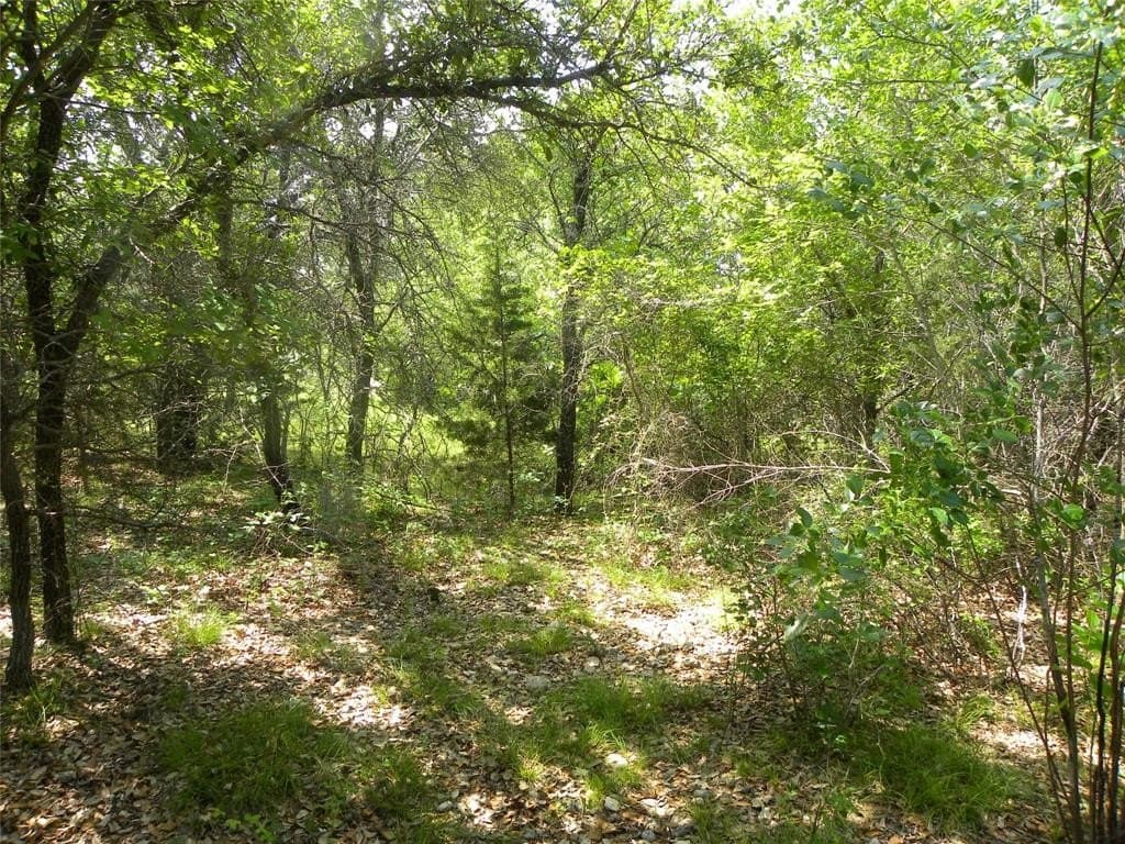 0.33 acres in Hill County gallery image 4