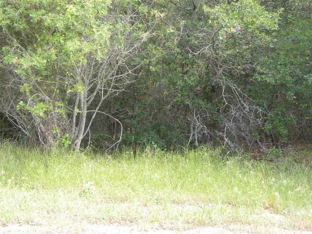 0.33 acres in Hill County gallery image 2