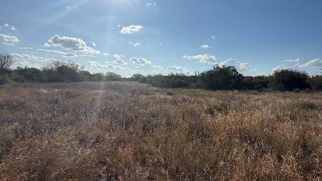 11.21 acres in Jim Wells County gallery image 2