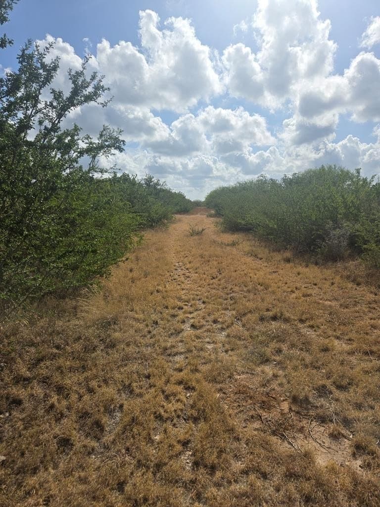 11.21 acres in Jim Wells County