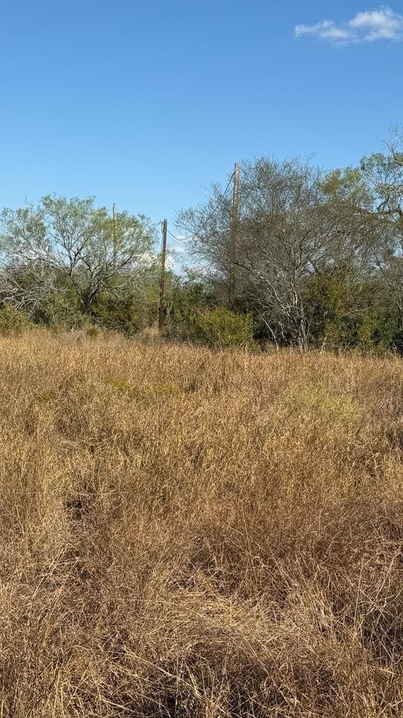 11.21 acres in Jim Wells County gallery image 3