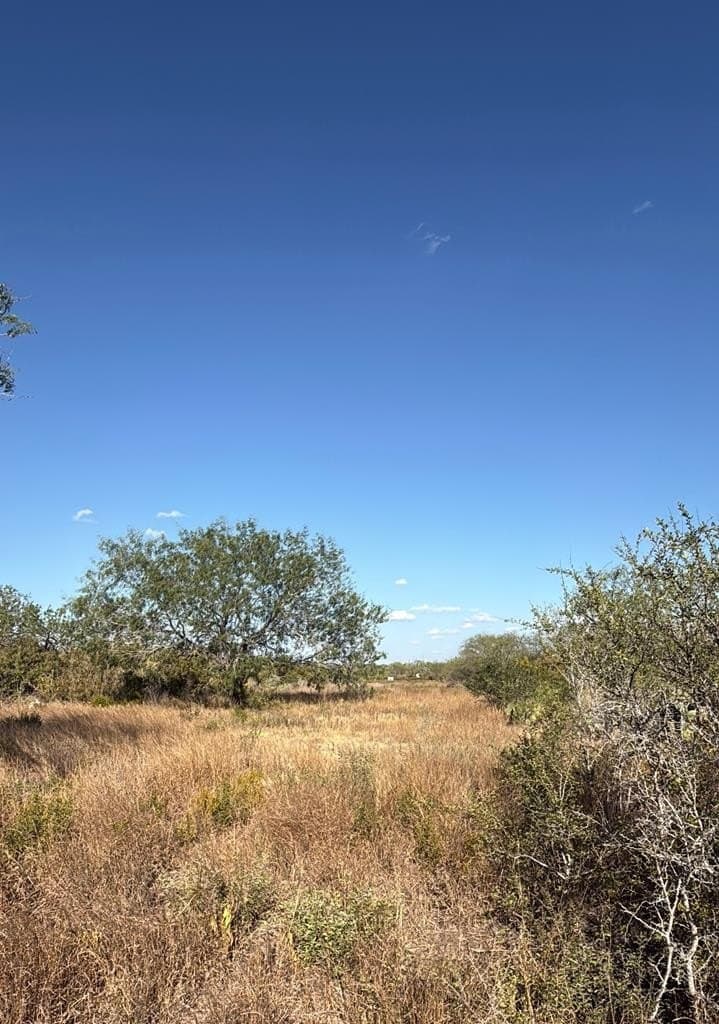 11.21 acres in Jim Wells County gallery image 4