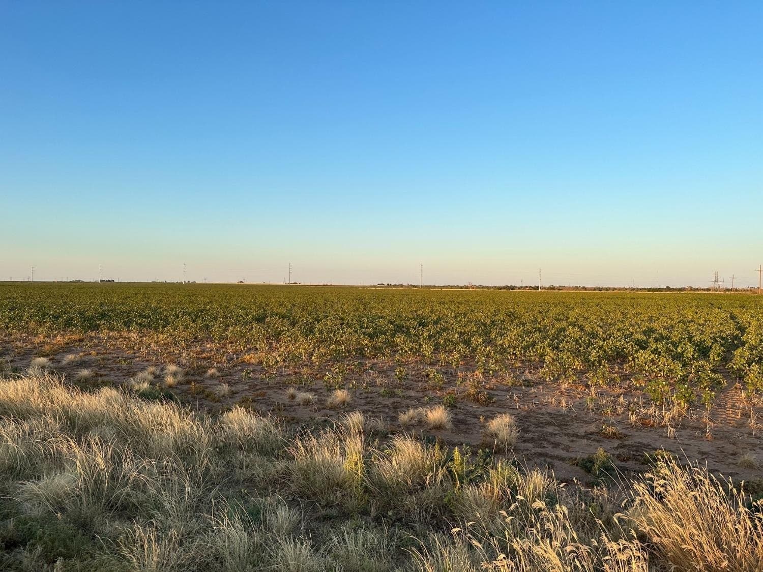 10.01 acres in Lubbock County