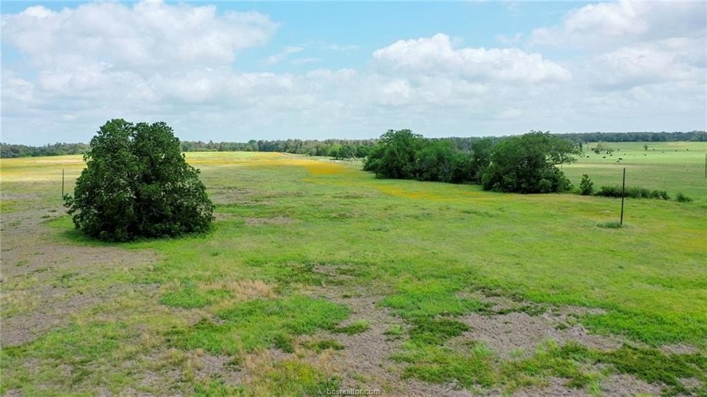10 acres in Burleson County - photo 21