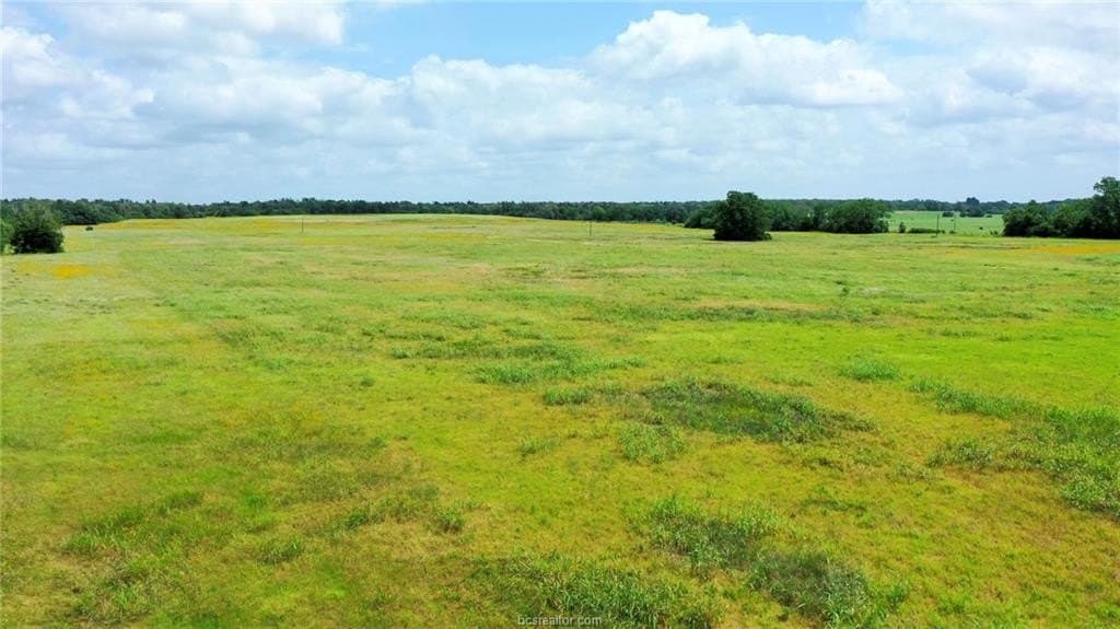 10 acres in Burleson County - photo 13