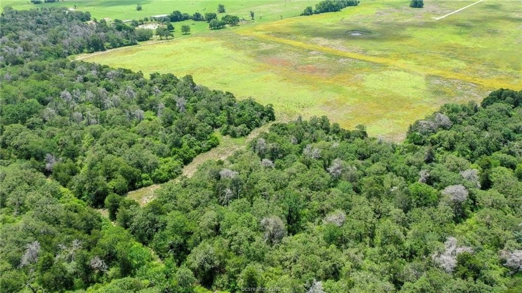 10 acres in Burleson County - photo 30