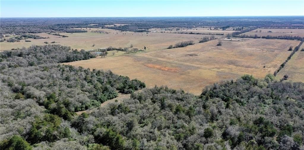 10 acres in Burleson County gallery image 3