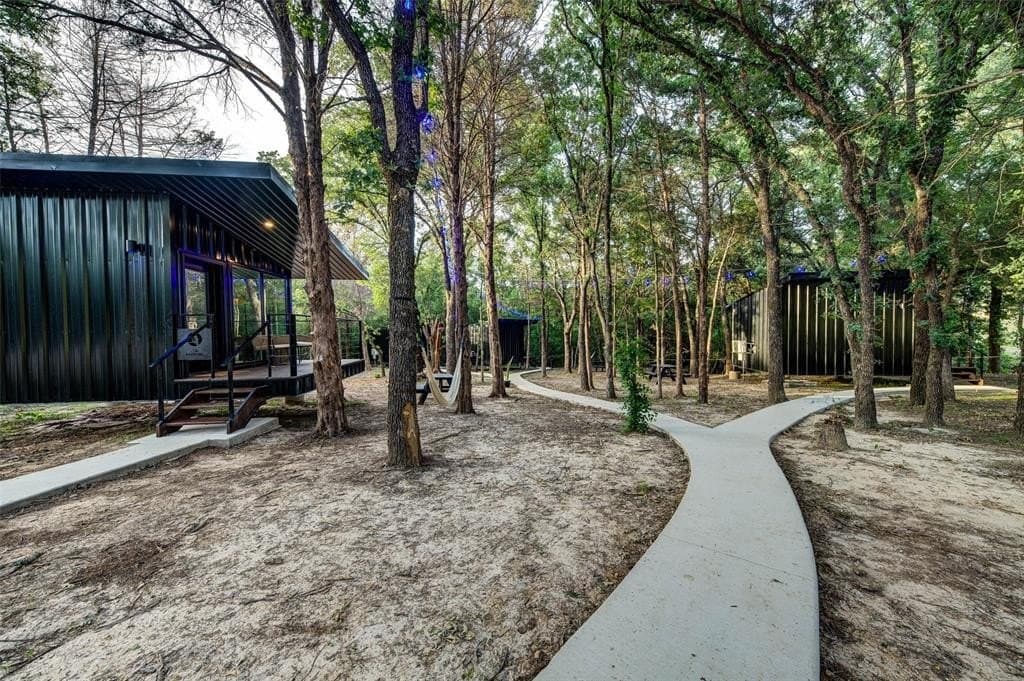 36.98 acres in Wise County gallery image 4