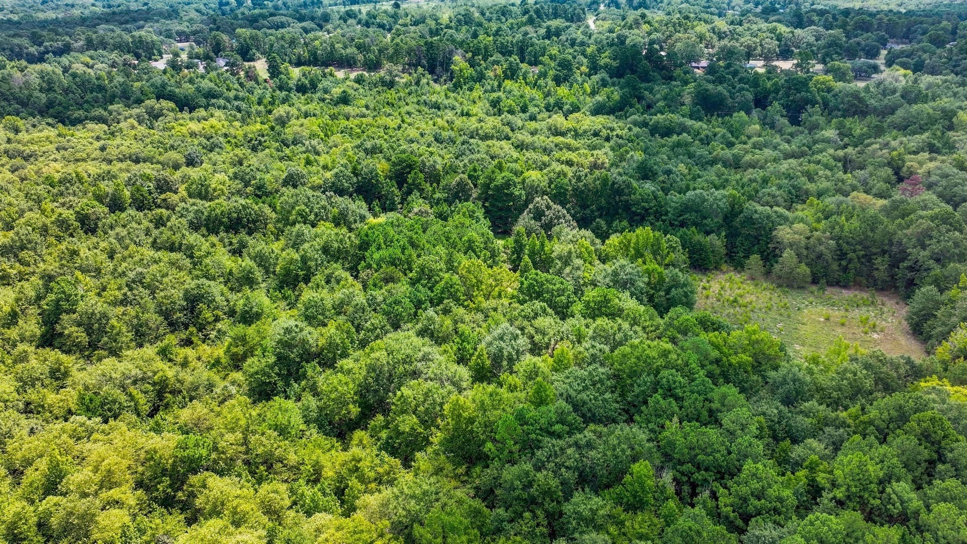 29.54 acres in Gregg County - photo 7