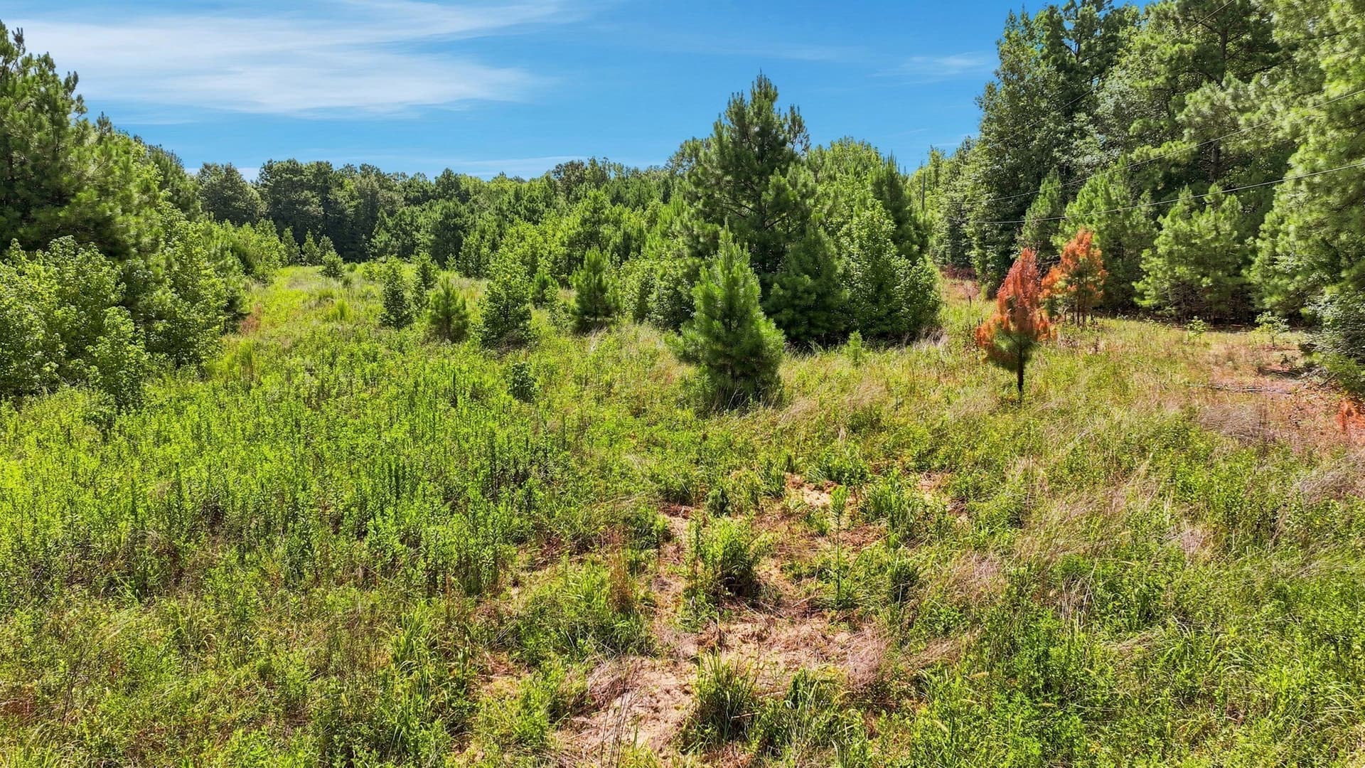 29.54 acres in Gregg County featured view