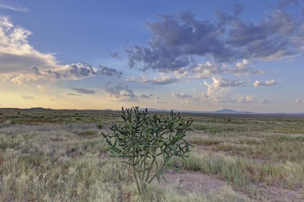 36.41 acres in Presidio County - photo 8