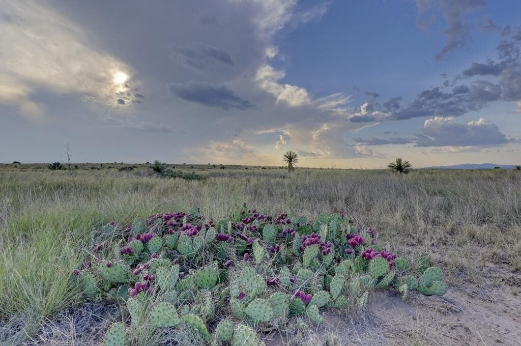 36.41 acres in Presidio County - photo 2