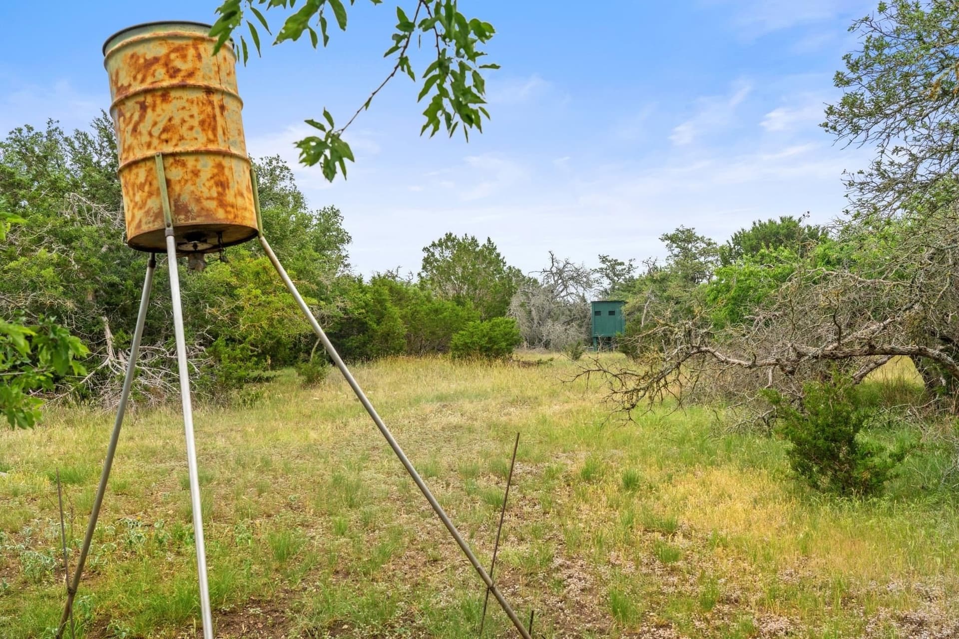 40 acres in Gillespie County featured view