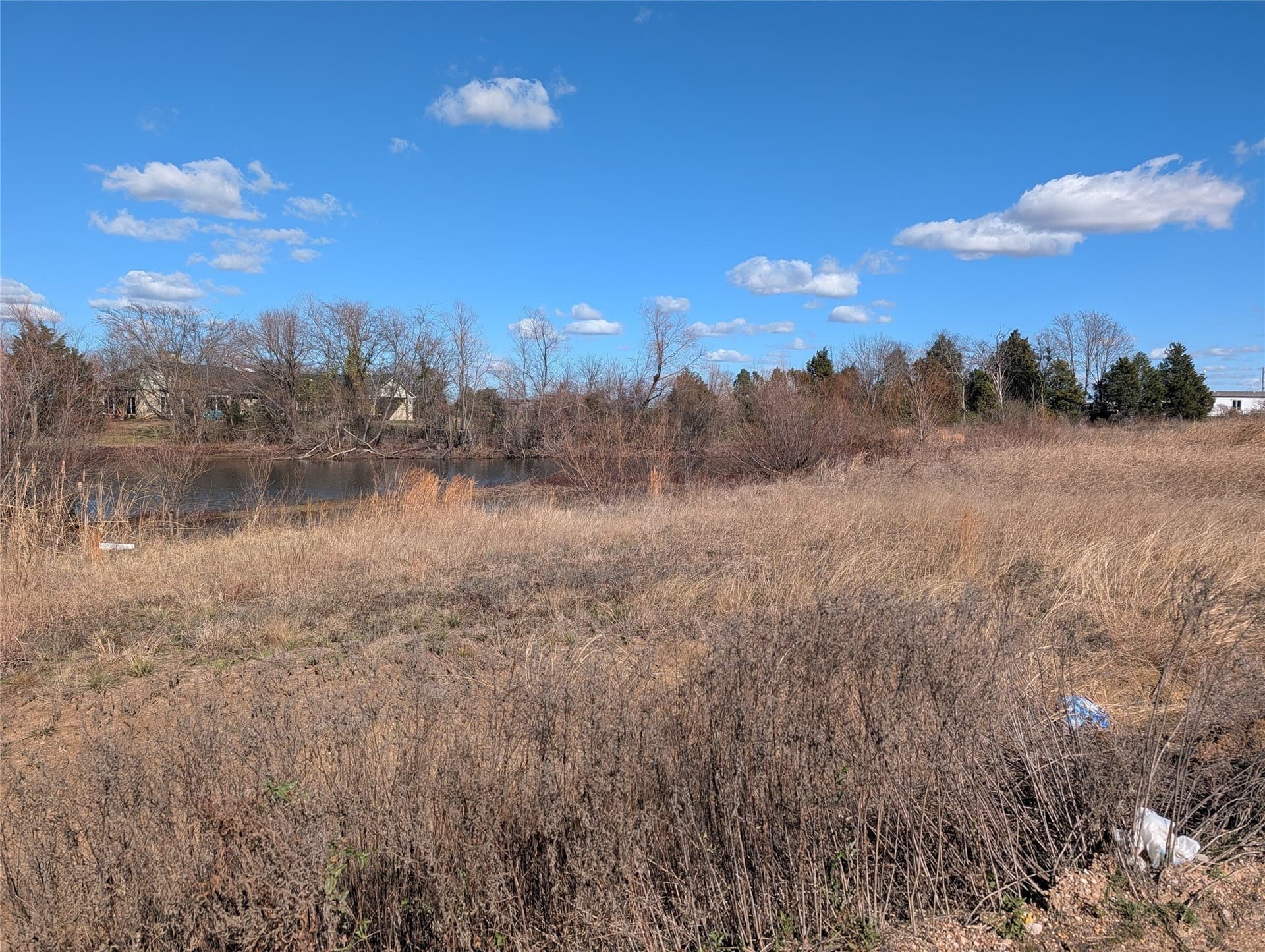 0.82 acres in Henderson County gallery image 3