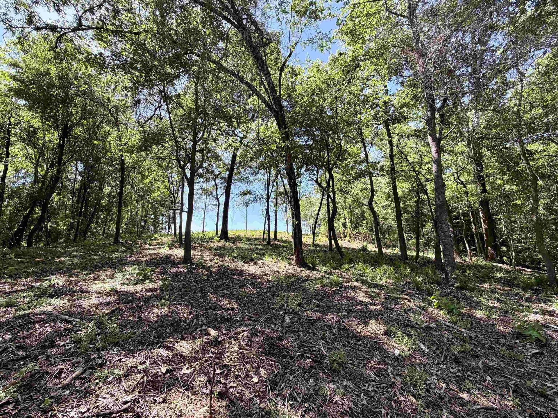 5 acres in Henderson County - photo 5