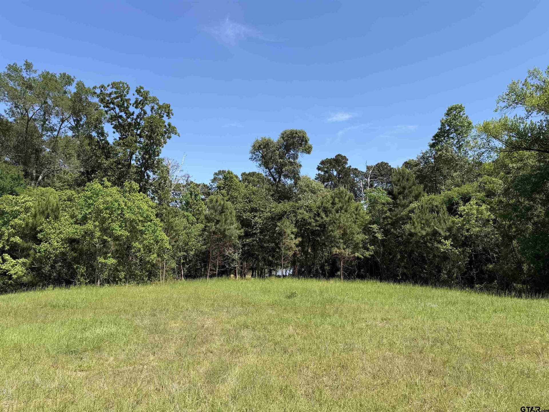 5 acres in Henderson County - photo 7