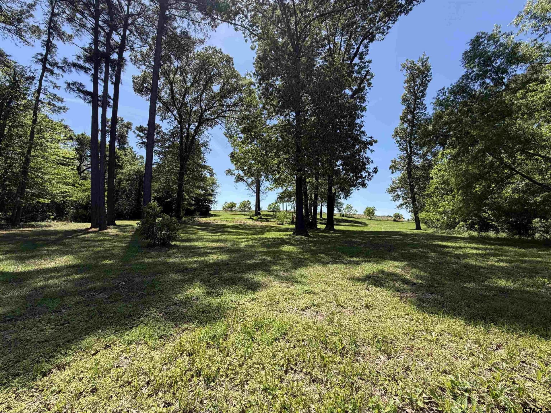 5 acres in Henderson County - photo 9