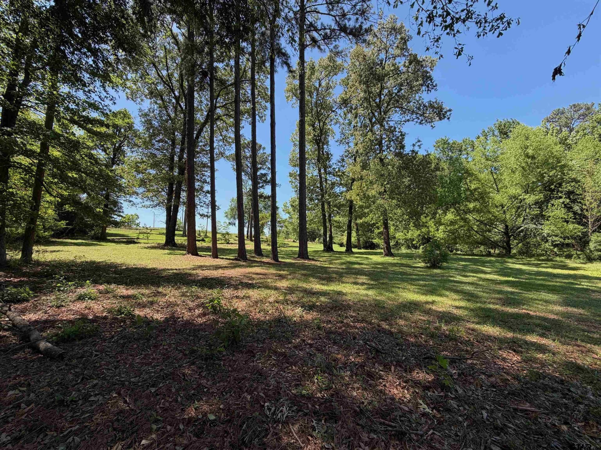 5 acres in Henderson County - photo 11