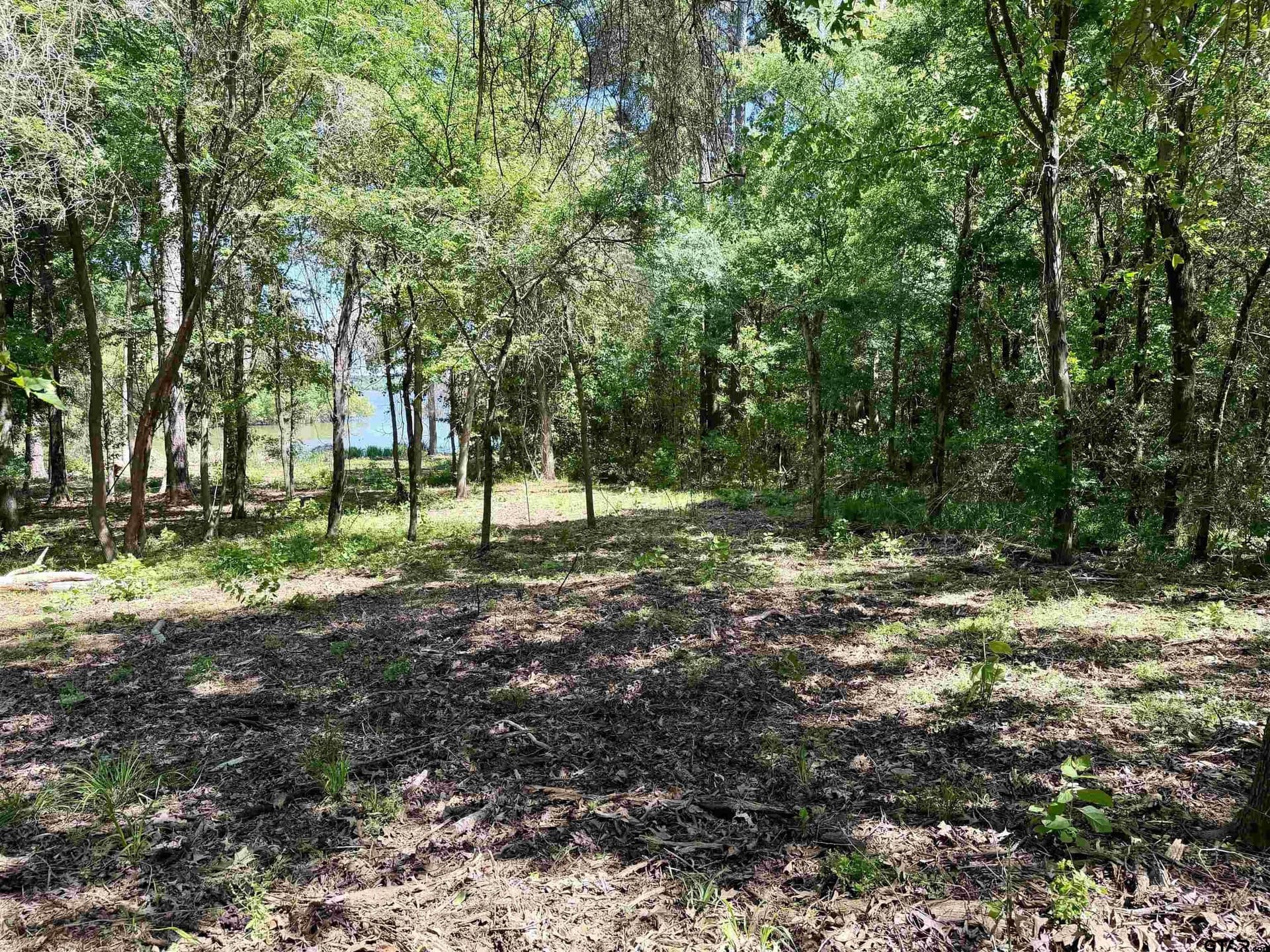 5 acres in Henderson County - photo 4