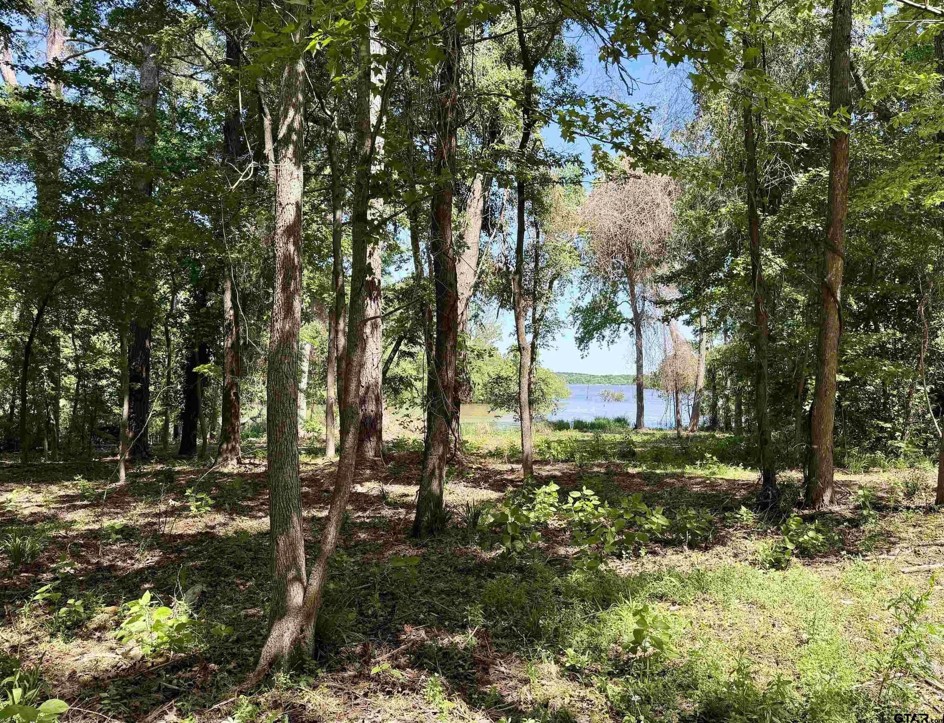5 acres in Henderson County - photo 3
