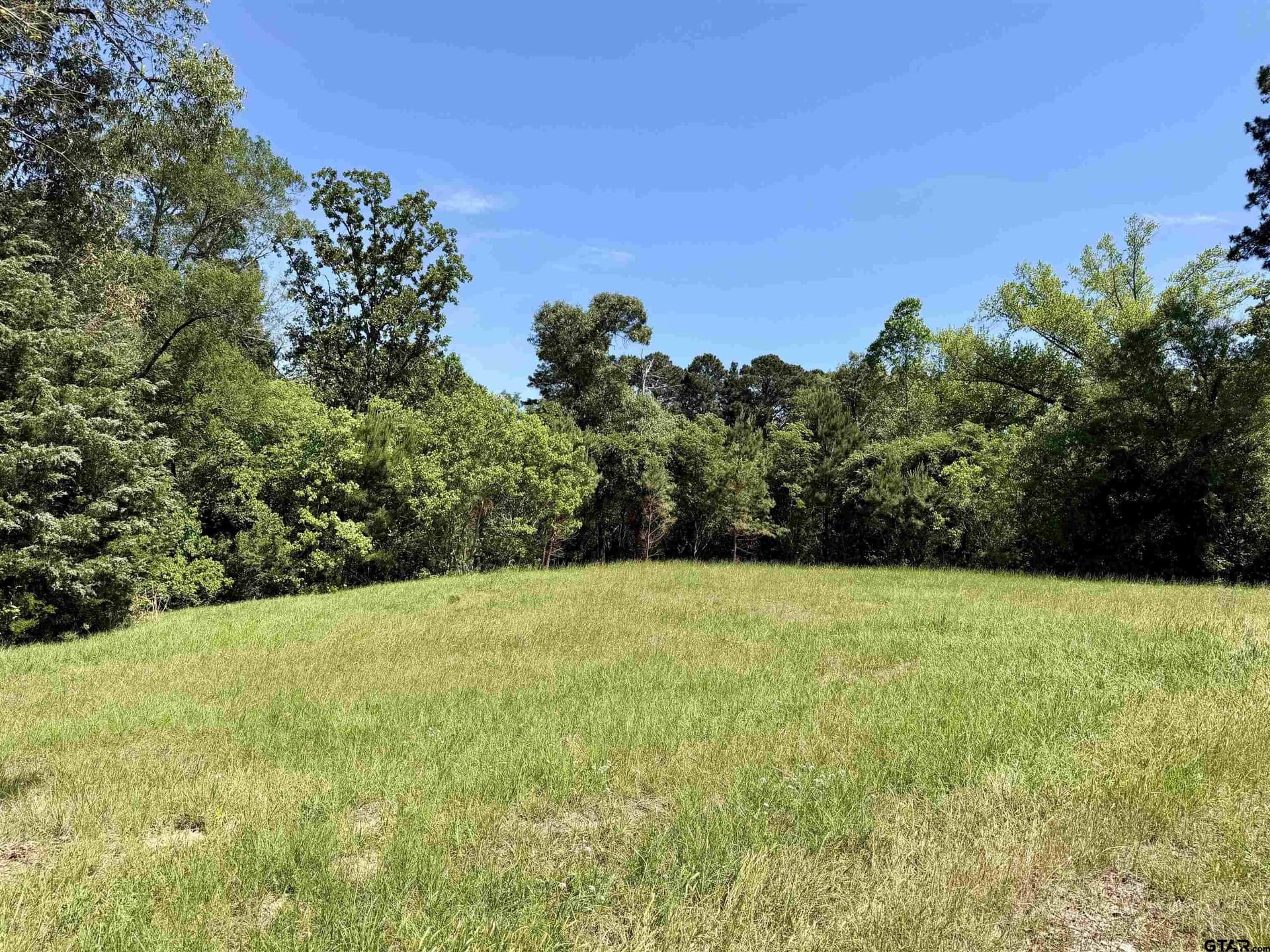 5 acres in Henderson County - photo 6
