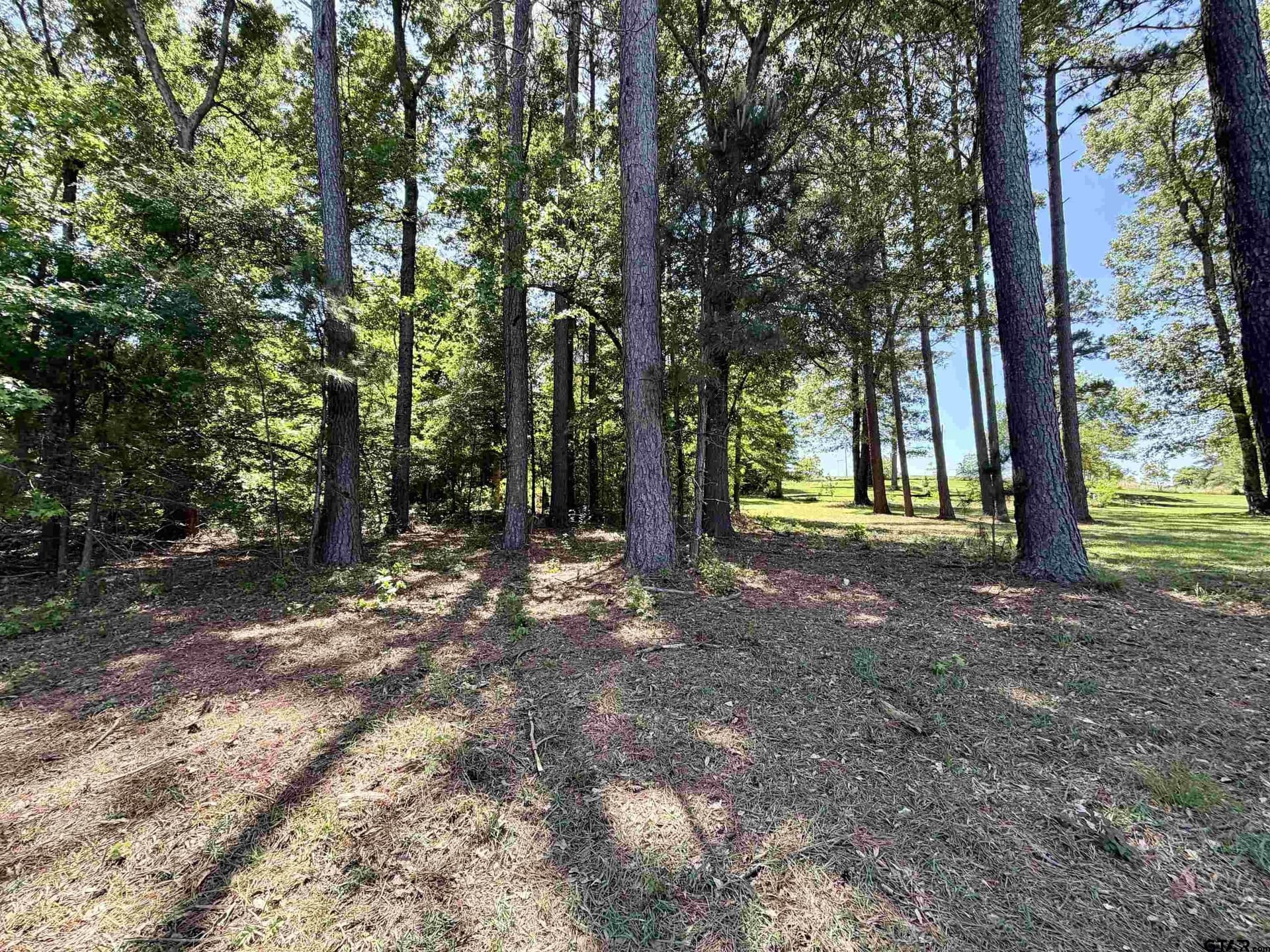 5 acres in Henderson County - photo 10