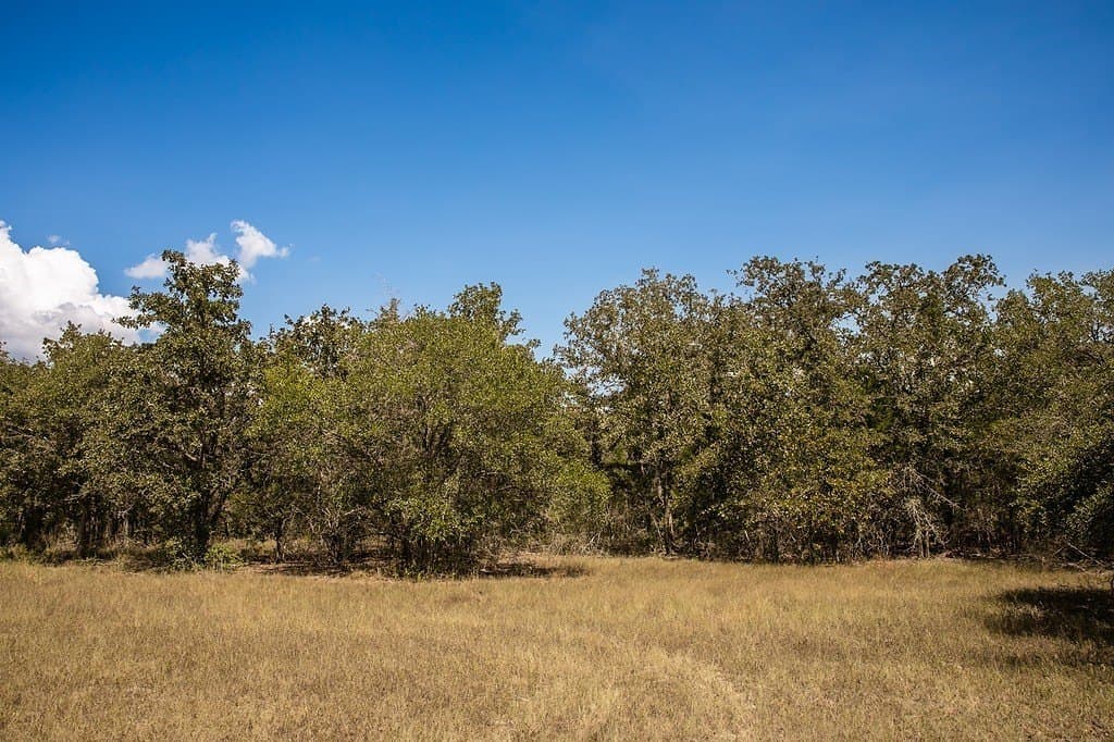 7.35 acres in Lee County - photo 6