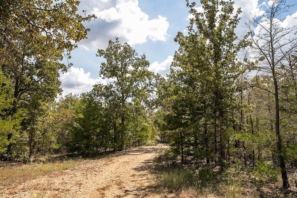 7.35 acres in Lee County - photo 3