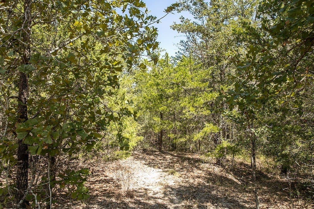 7.35 acres in Lee County - photo 7