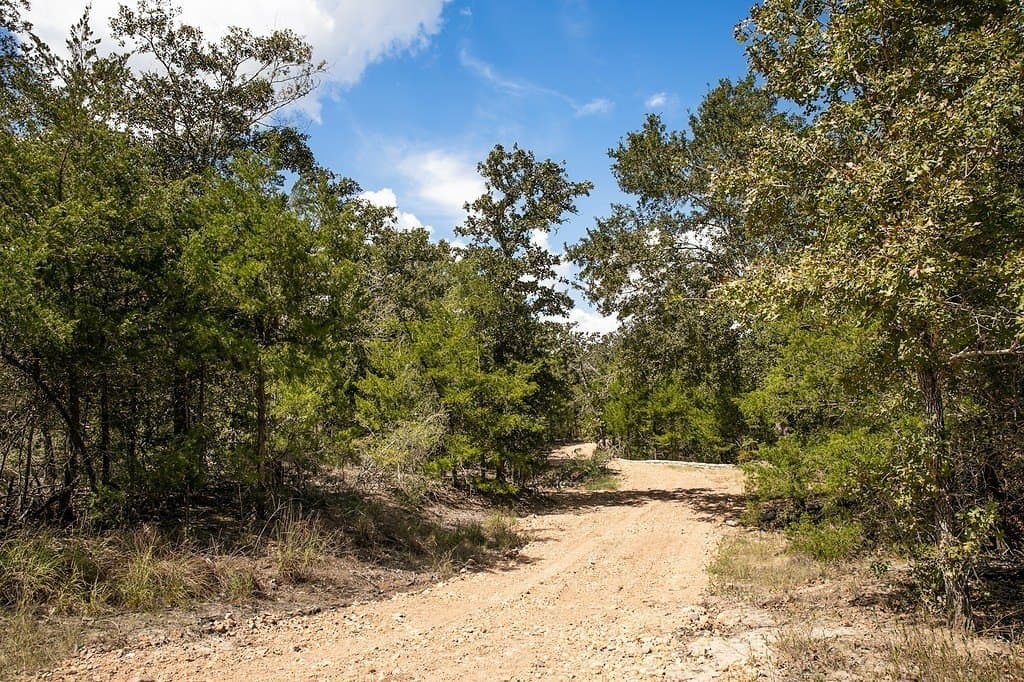 7.35 acres in Lee County - photo 8