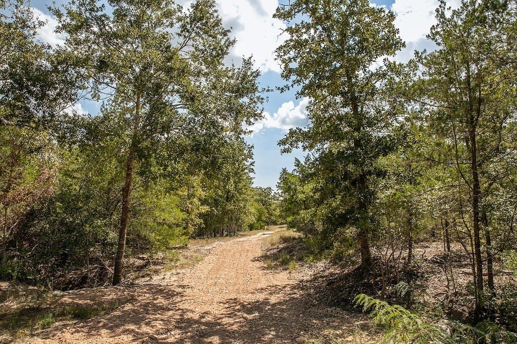 7.35 acres in Lee County - photo 2