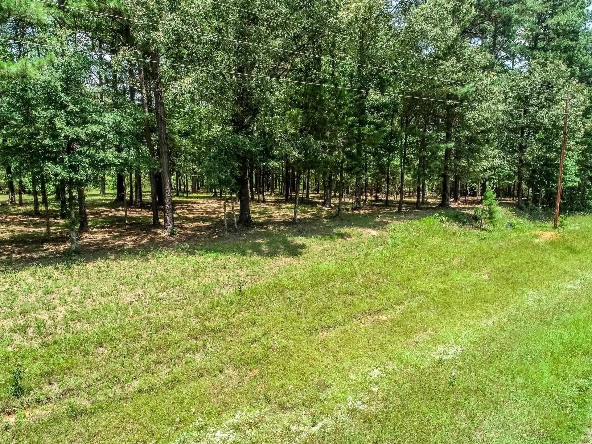 120 acres in Marion County - photo 8