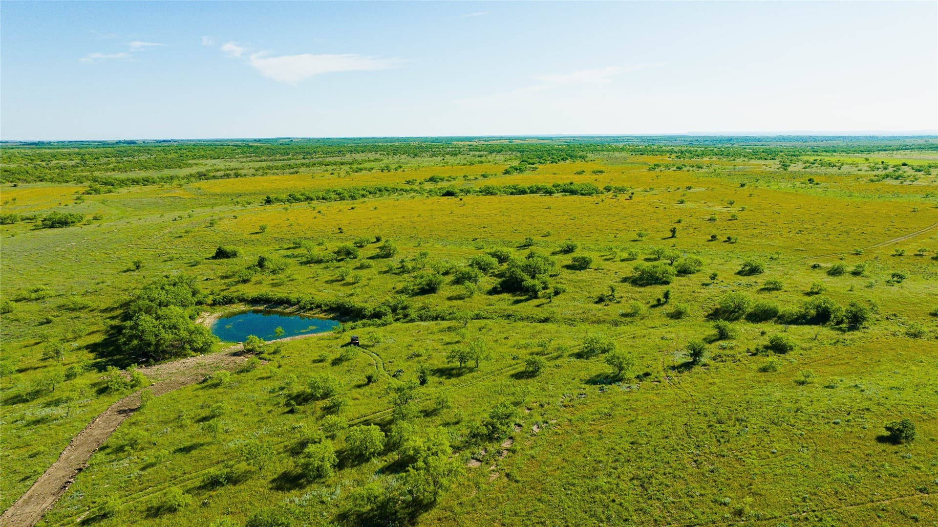 385 acres in Callahan County - photo 7
