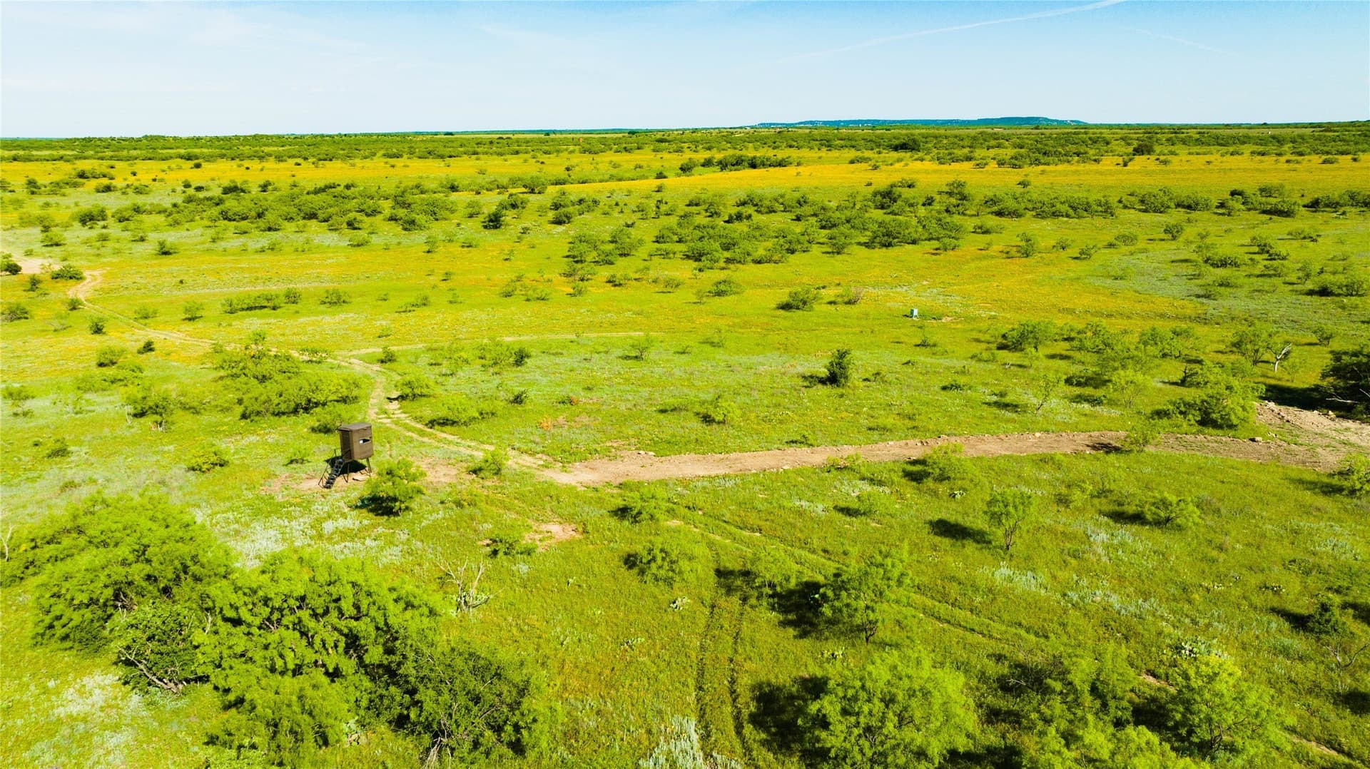 385 acres in Callahan County - photo 3