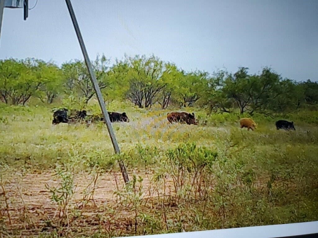 385 acres in Callahan County - photo 22
