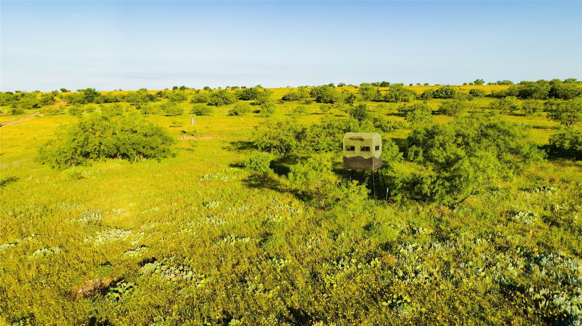 385 acres in Callahan County - photo 5